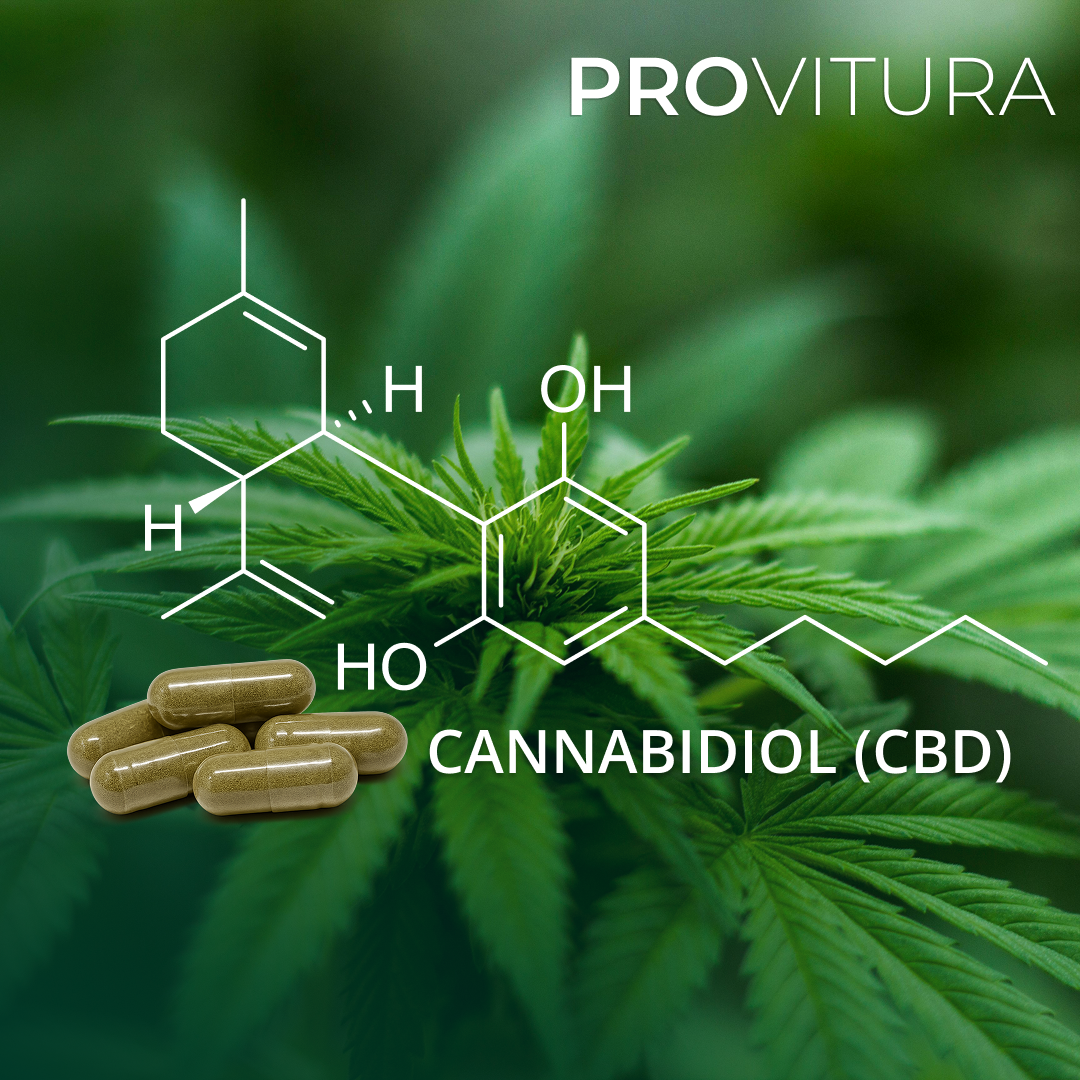 Provitura-kapsler med cannabidiol (CBD)-molekylet