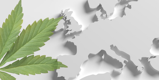 Navigating CBD: Sales & buying regulations in Europe